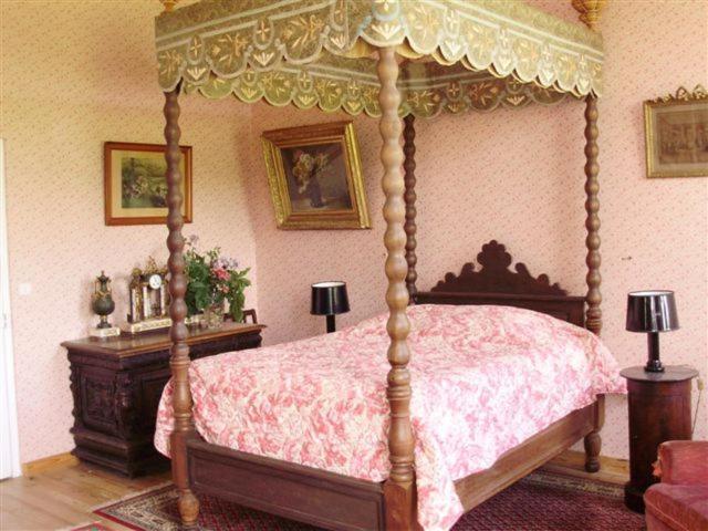 Chateau De Bois Renard Bed & Breakfast Saint-Laurent-Nouan Rom bilde